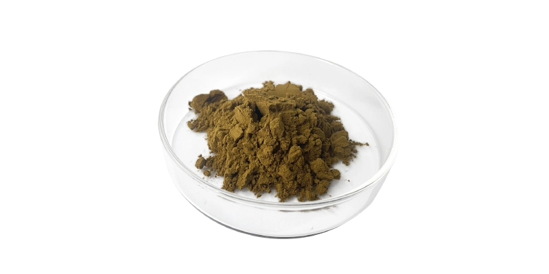 Ivy Leaf  Powder.jpg